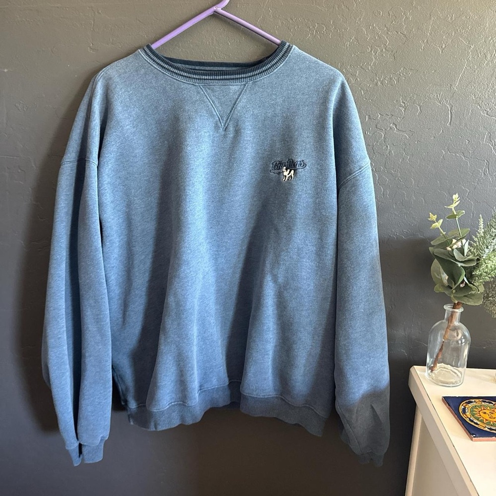 RARE • Big Dogs Sweatshirt